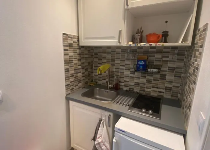 Small Near Eiffel Tower *